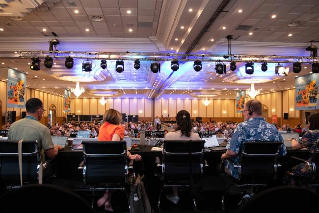 Negotiations on the Nexus Assessment start early as delegates try to make up time and finalise the key messages