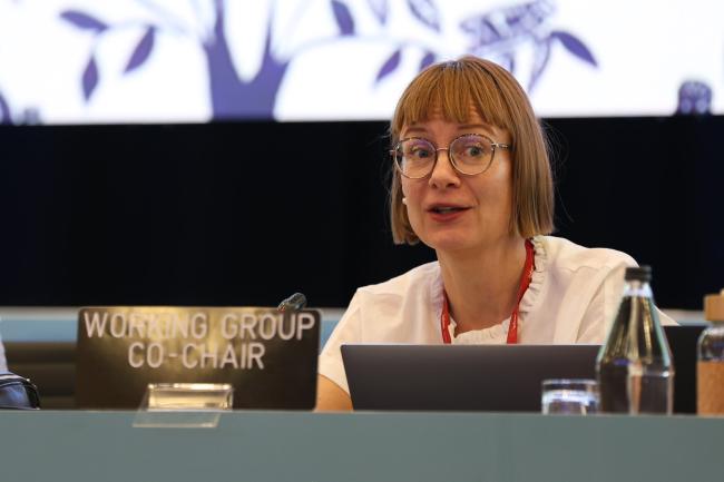 Eeva Primmer, Working Group 2 Co-Chair