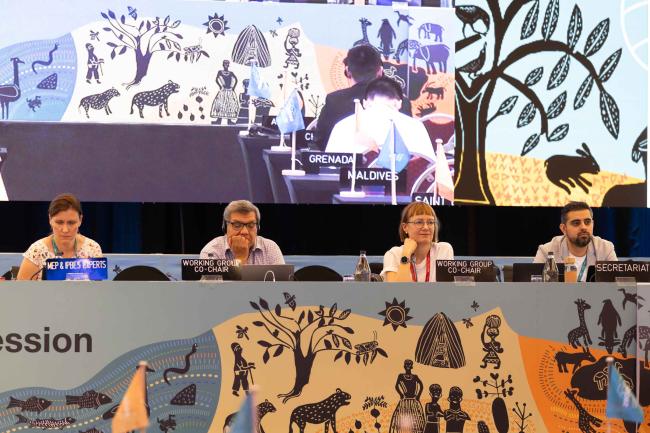 Discussions begin on how IPBES should engage with the IPCC