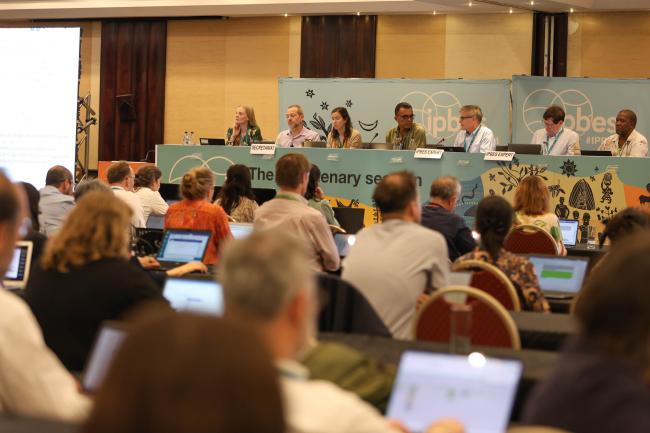 Delegates gather to begin discussions for the Second Global Assessment