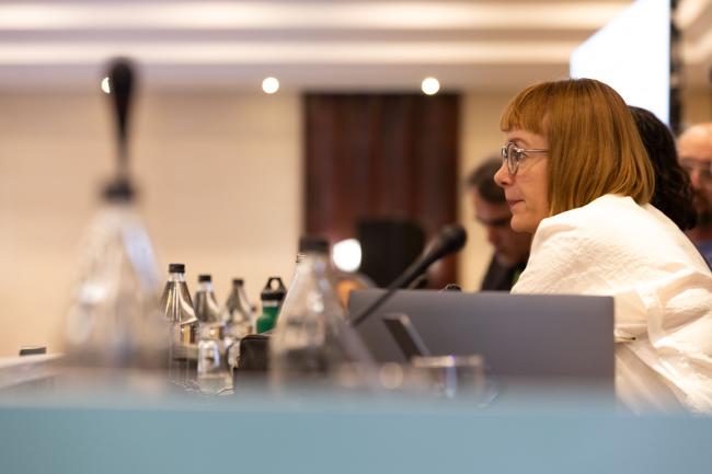 Eeva Primmer, Working Group 2 Co-Chair 