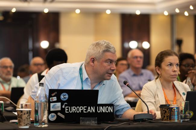 Gilles Doignon, EU