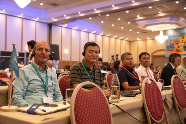 Observer delegates in plenary