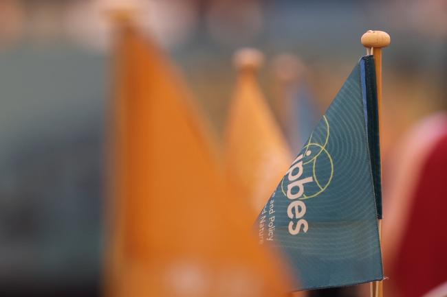 IPBES flags