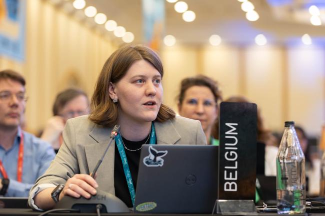 Anna Heck, Belgium