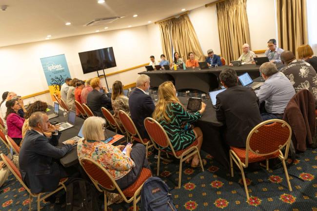 Friends of the Chair meet to resolve amendments on the Transformative Change Assessment text
