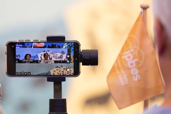 Camera in plenary