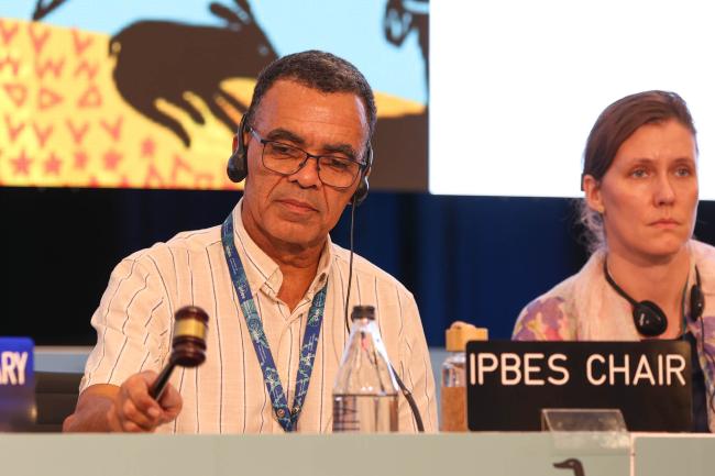 David Obura, IPBES Chair, gavels the meeting to a close