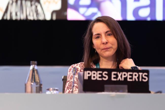 Tiff van Huysen, IPBES Secretariat