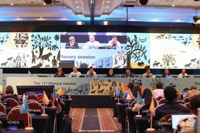 Delegates continue discussions under Working Group 2