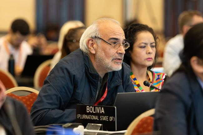 Diego Pacheco, Bolivia 