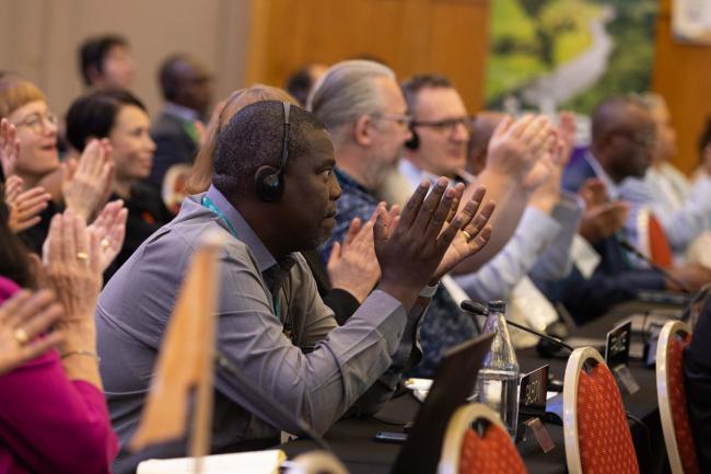 Delegates applaud the adoption of the Nexus Assessment