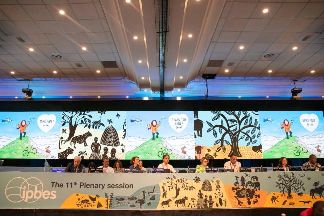 Plenary begins with a farewell to Anne Larigauderie, IPBES Executive Secretary, thanking her for 10 years of dedicated service to the process