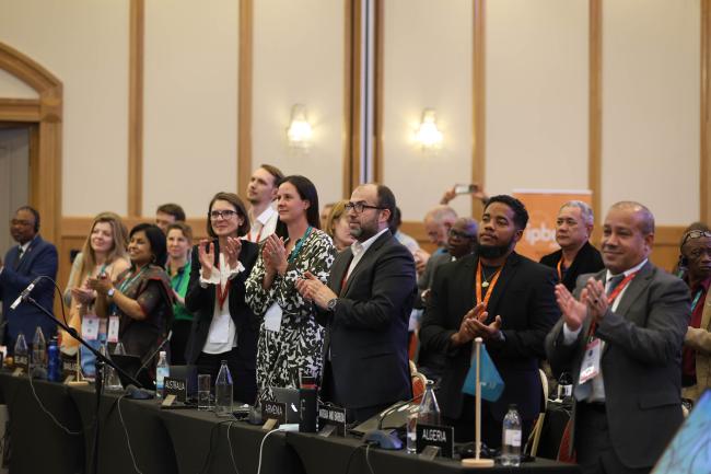 Plenary gives Anne Larigauderie, IPBES Executive Secretary, a standing ovation 