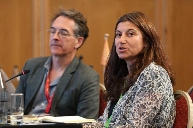 Diana Mangalagiu, Coordinating Lead Author for Sustainable Futures