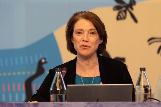 Karen O’Brien, Transformative Change Assessment Co-Chair