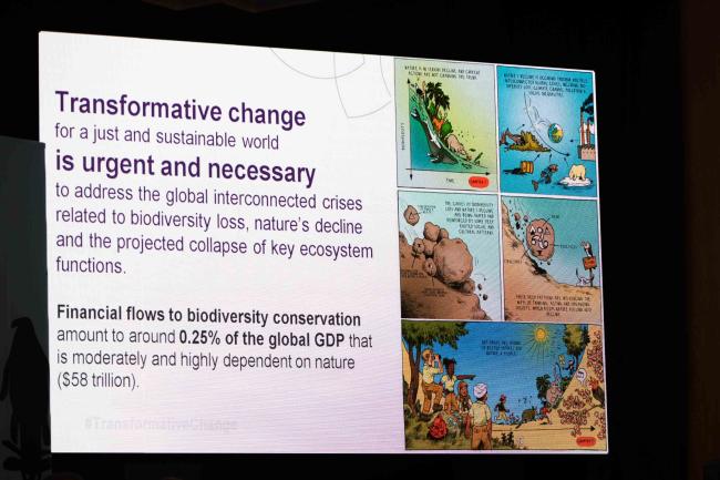 Transformative change is urgent
