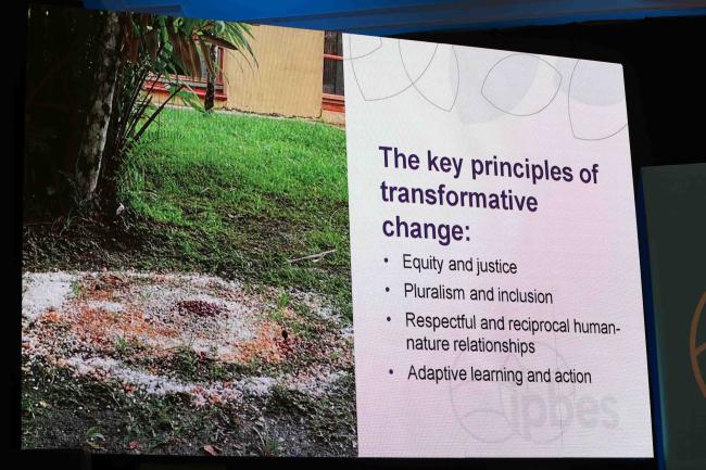 A slide highlights the key principles of transformative change