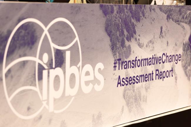Transformative change assessment