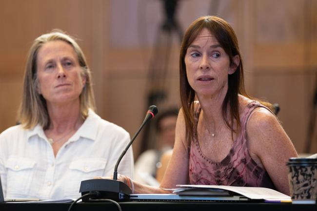 Lynne Shannon, Coordinating Lead Author for Visions