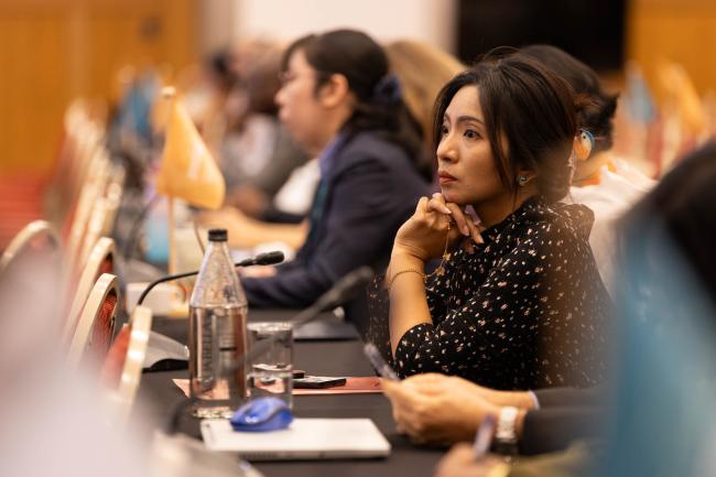 Delegates listen to the interventions