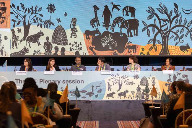 A dialogue takes place with the authors of the Nexus and Transformative Change Assessments