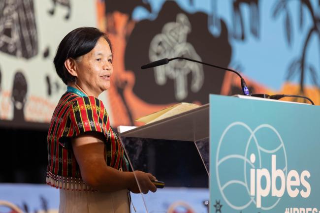Florence Daguitan, Partners for Indigenous Knowledge