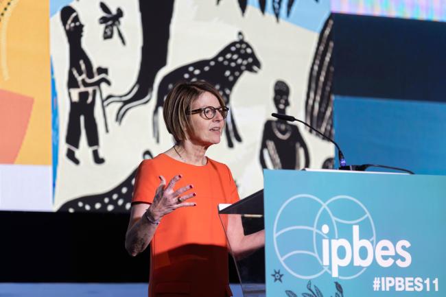 Anne Larigauderie, Executive Secretary, IPBES, delivers opening remarks at Stakeholder Day