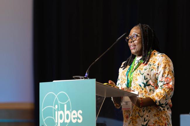 Alice Kammwamba, University of Lilongwe, Malawi