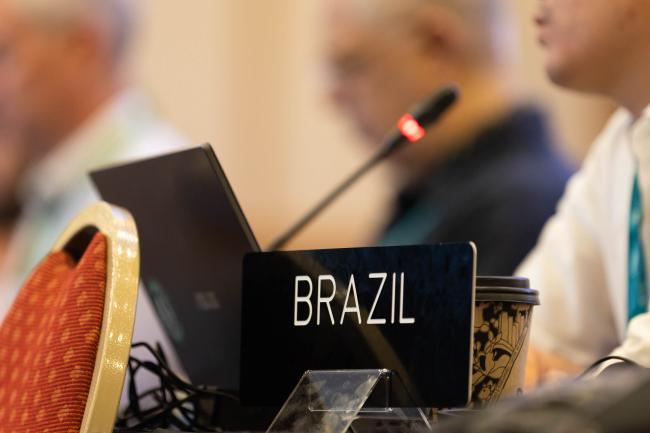 Luiz Eduardo Andrade de Souza, Brazil