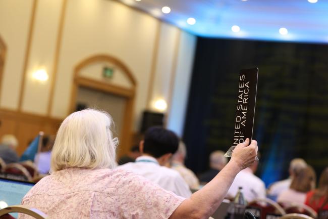 Delegates raise their placards to speak