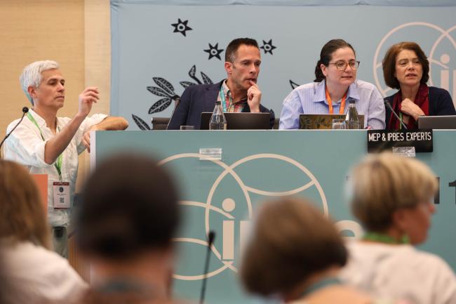 IPBES Experts consult 