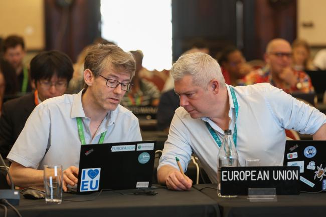 Delegates from the EU consult
