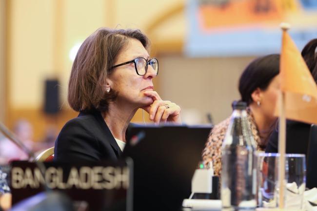 Delegates struggle through the text as negotiations go significantly over time