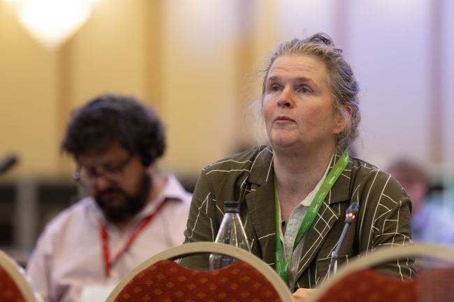Karin Zaunberger, EU