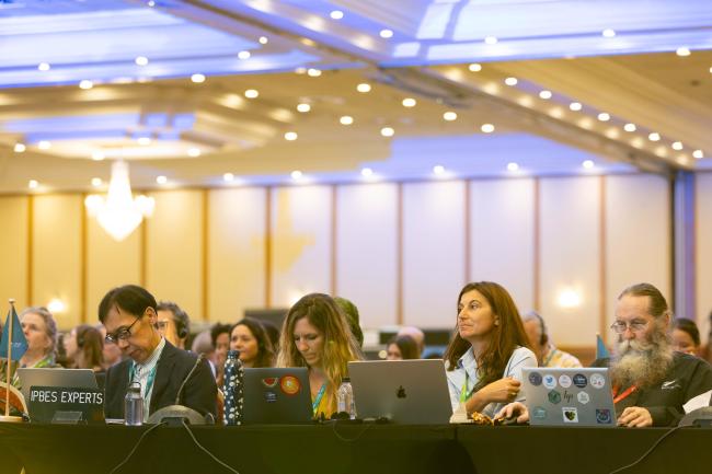 IPBES experts listen to the discussion
