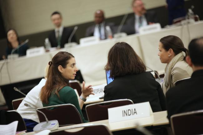 EU Delegates confer during the CFA Committee session.