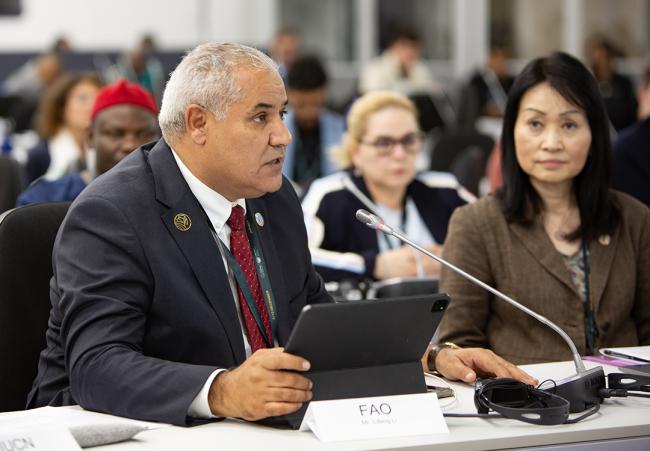 FAO - EMG UNCCD COP16 - 4Dec2024