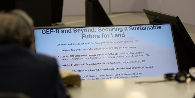 Future and Land - GEF-8 and Beyond - 4Dec2024