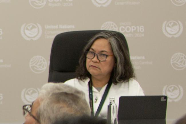 Gina Nilo, Bureau of Soil and Water Management - Private sector dialogue - UNCCD COP16 - 11Dec2024.