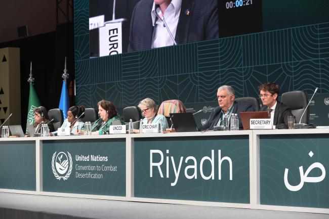 View of the panel CRIC 