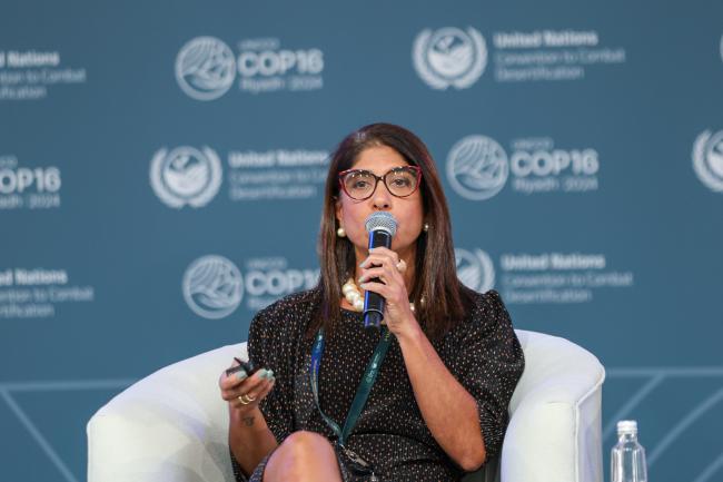 Alessandra Couri, National Water and Sanitation Agency (ANA), Brazil 
