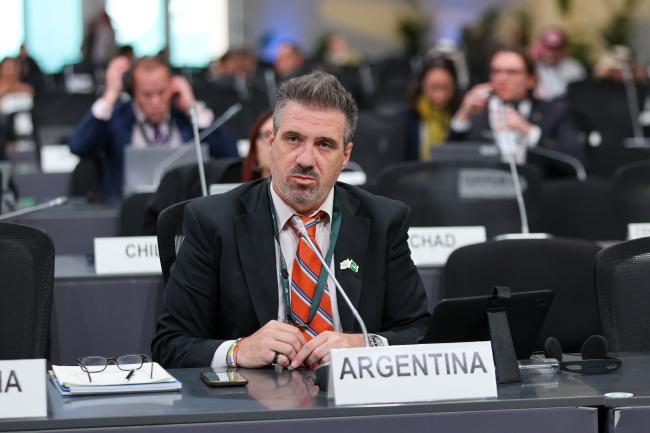 Pablo Hernán Viegas Aurelio, Argentina