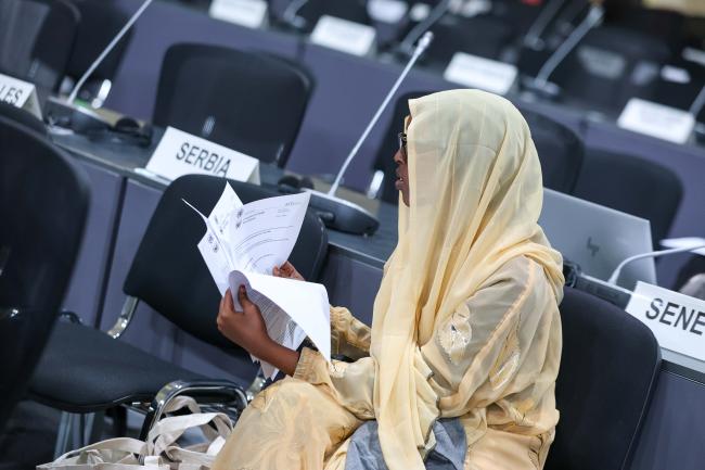 Delegates review the documents. 