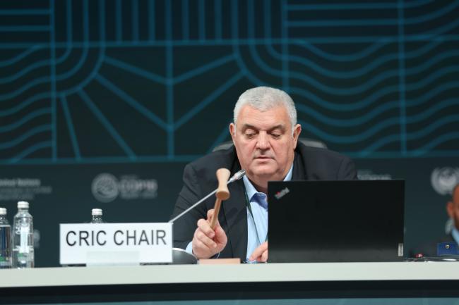 CRIC Chair Mirko Knežević, Montenegro, gavels the adopted decisions.