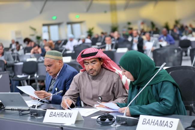 Delegates review the documents. 