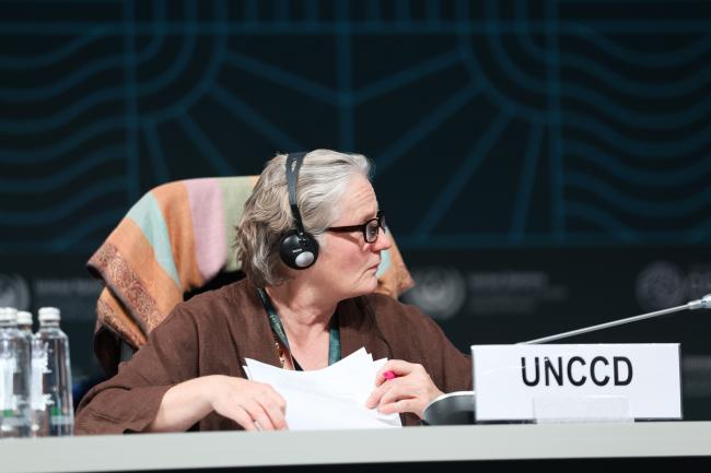 Anja Thust, UNCCD