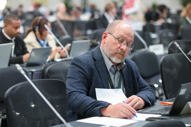 Delegates during the CST plenary 