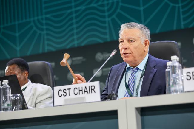 CST Chair Héctor Manuel Arias Rojo, Mexico, gavels the adopted decisions. 