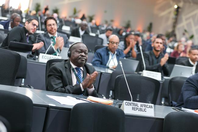 Delegates during the CST plenary